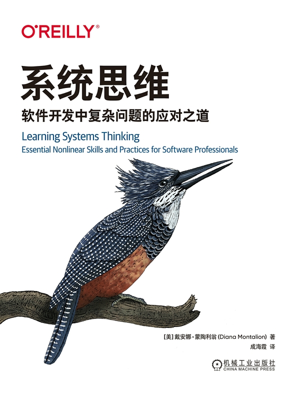 系统思维：软件开发中复杂问题的应对之道