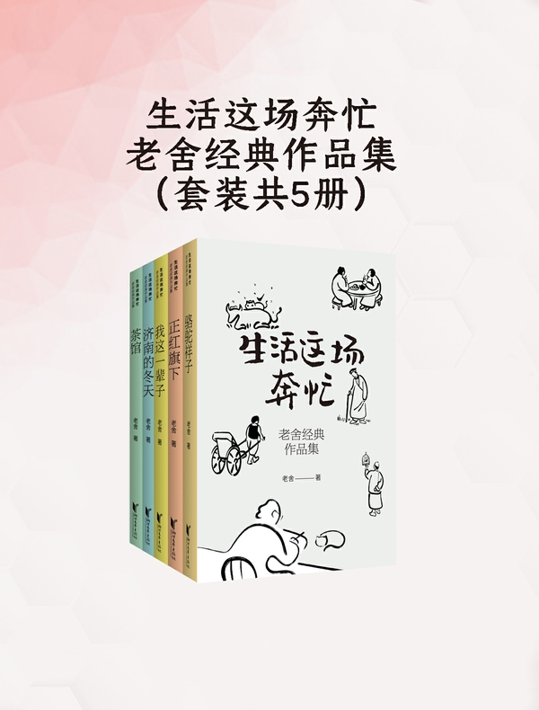 生活这场奔忙：老舍经典作品集（套装共5册）