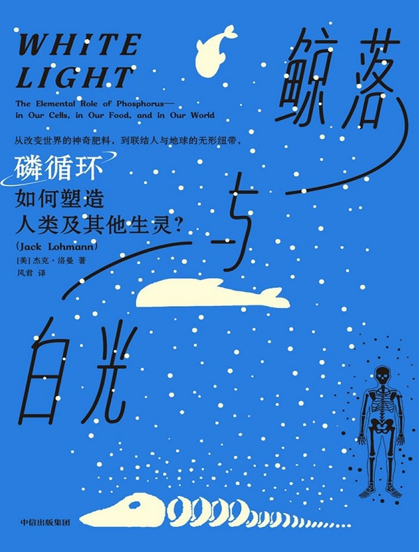 鲸落与白光