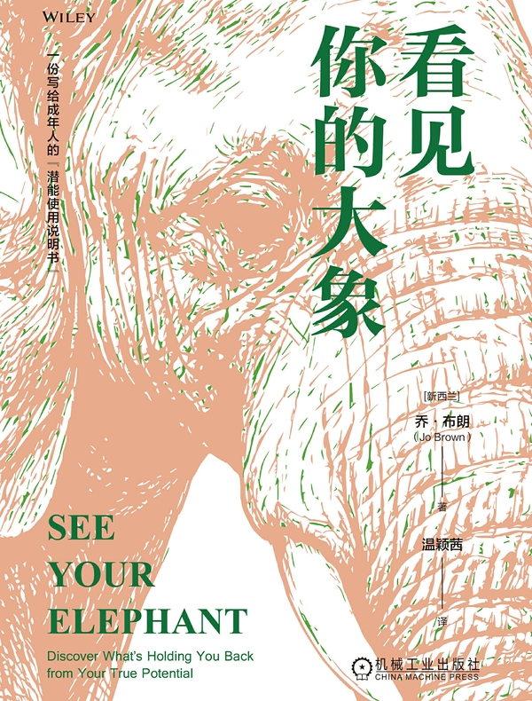 看见你的大象